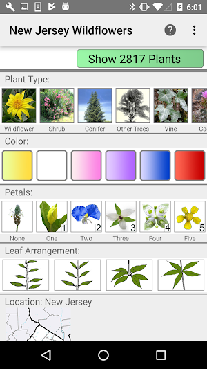 New Jersey Wildflowers Screenshot 0