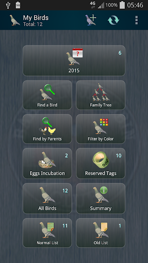 Bahrain Pigeons Screenshot 1