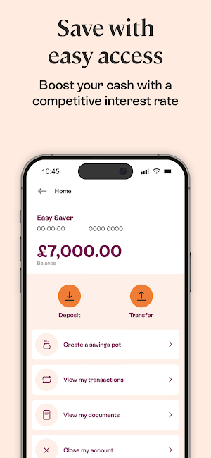 Spring: Easy Access Savings Screenshot 3