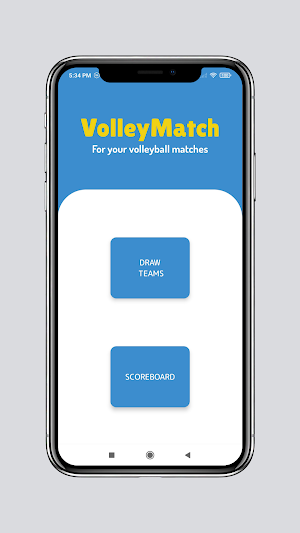 VolleyMatch: Team Draw & Score Screenshot 0
