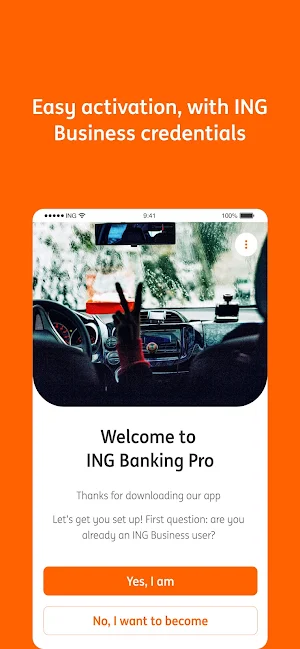 ING Business Pro Screenshot 0