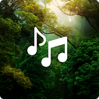 Forest Sounds