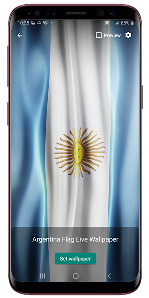 Argentina Flag Waving Live Wallpaper Screenshot 1