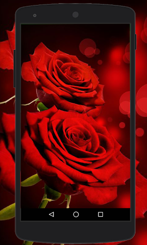 Flower Wallpapers HD Screenshot 2
