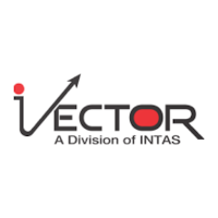 Vector Digital DPM