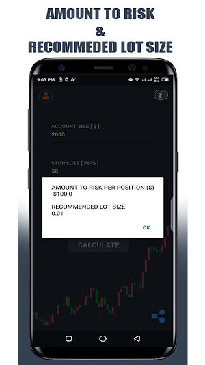 Risk Management Calculator - Forex Traders Screenshot 2