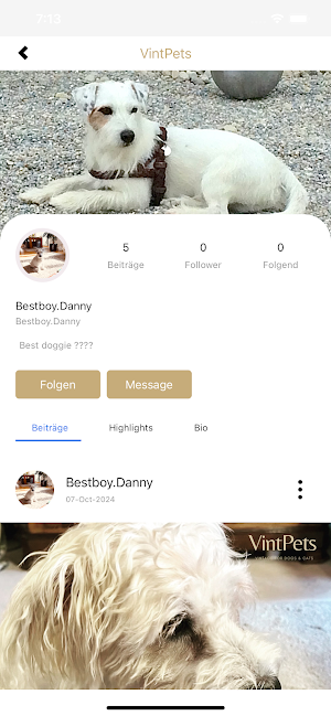 VintPets Screenshot 2