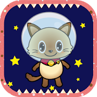 Kitty Spacewalk