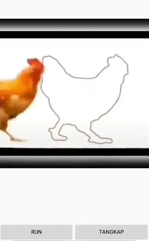 Tangkap ayam dan Sapi Screenshot 0