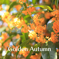 Golden Autumn Theme +HOME