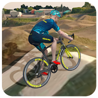BMX Bicycle Stunt Game