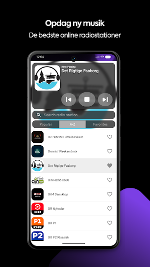 Radio DK: Danske radioer Screenshot 3