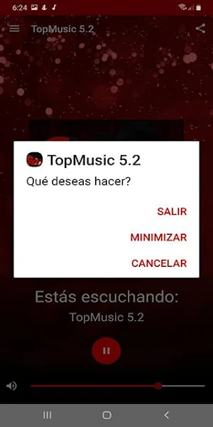 TopMusic 5.2 Screenshot 2