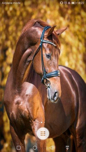 Horse Wallpaper Screenshot 0