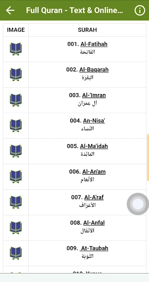 Maher Al Muaiqly Quran Offline Screenshot 3