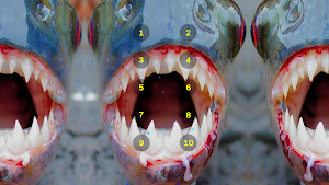 Piranha Teeth Chatter Sounds Screenshot 3