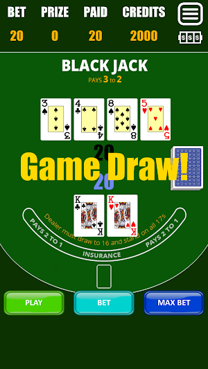 Blackjack 21 Screenshot 2