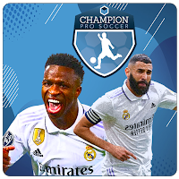Dream Pro League Soccer 24