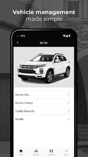 Team Mitsubishi Advantage Screenshot 3