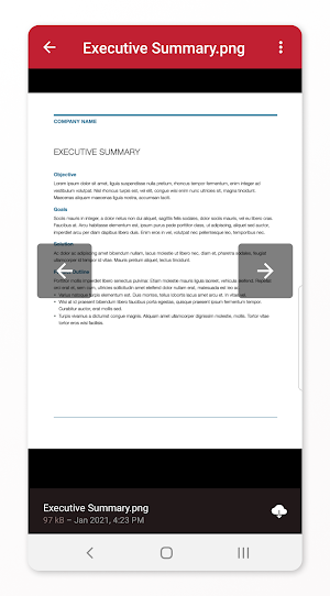 Files.com Screenshot 2