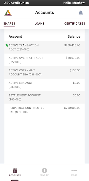 Premier View Mobile Screenshot 1