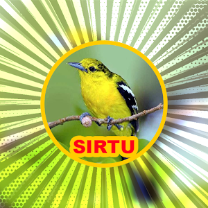 Suara Burung Sirtu Screenshot 2