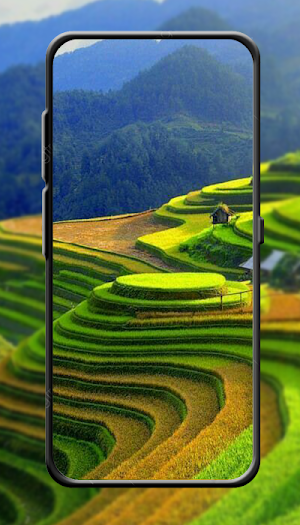 Wallpaper Pemandangan Indah HD Screenshot 0