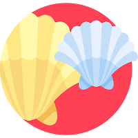 Mindorae