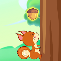 Squirrel Collect Nuts
