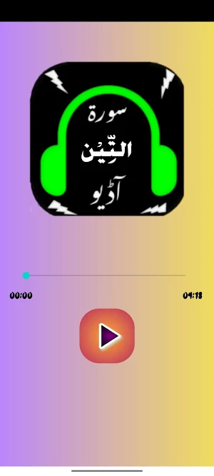 Surah Teen Screenshot 3