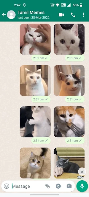 Cat Animated Stickers Screenshot 3