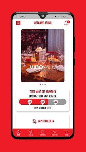 Vinovium Screenshot 1
