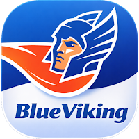 BlueViking