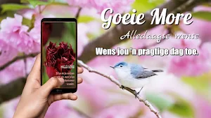 Afrikaans Morning & Night Screenshot 0