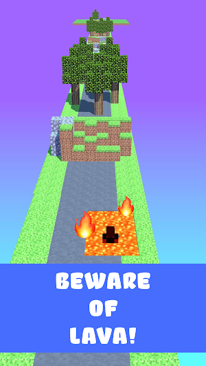 Block Craft Run Screenshot 0