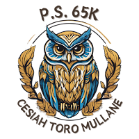 P.S. 065 Cesiah Toro Mullane