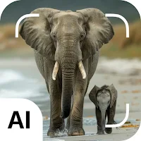Mammal identifier