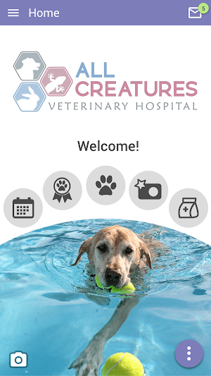 All Creatures Vet Hospital Screenshot 0