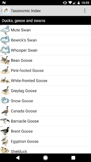 eGuide to British Birds Screenshot 1