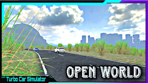 Turbo Car Simulator Screenshot 0