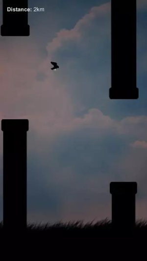 Bird Rush Screenshot 1