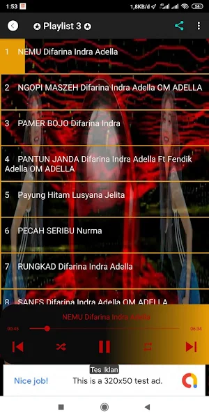 Dangdut Koplo Viral Full Bass Screenshot 2