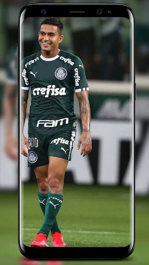 Palmeiras Wallpapers screenshot 8