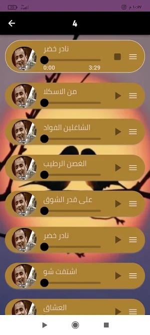 كل اغاني نادر خضر بدون نت Screenshot 3