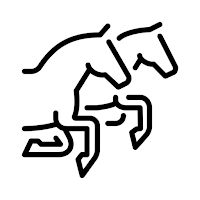 Saudi Arabia Equestrian