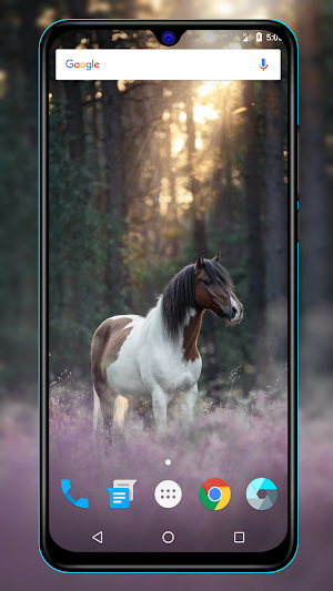 Horse Wallpapers Screenshot 1