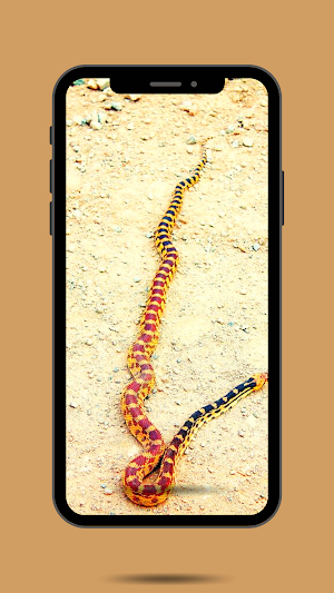 Snake Ringtone Screenshot 1