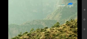 MalayTV Live Screenshot 1
