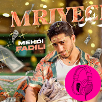 Mehdi Fadili without net