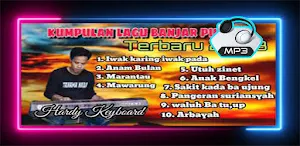 Lagu Pop Daerah Banjar Offline Screenshot 3